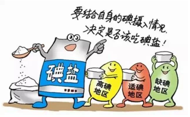 91视频网下载廠家