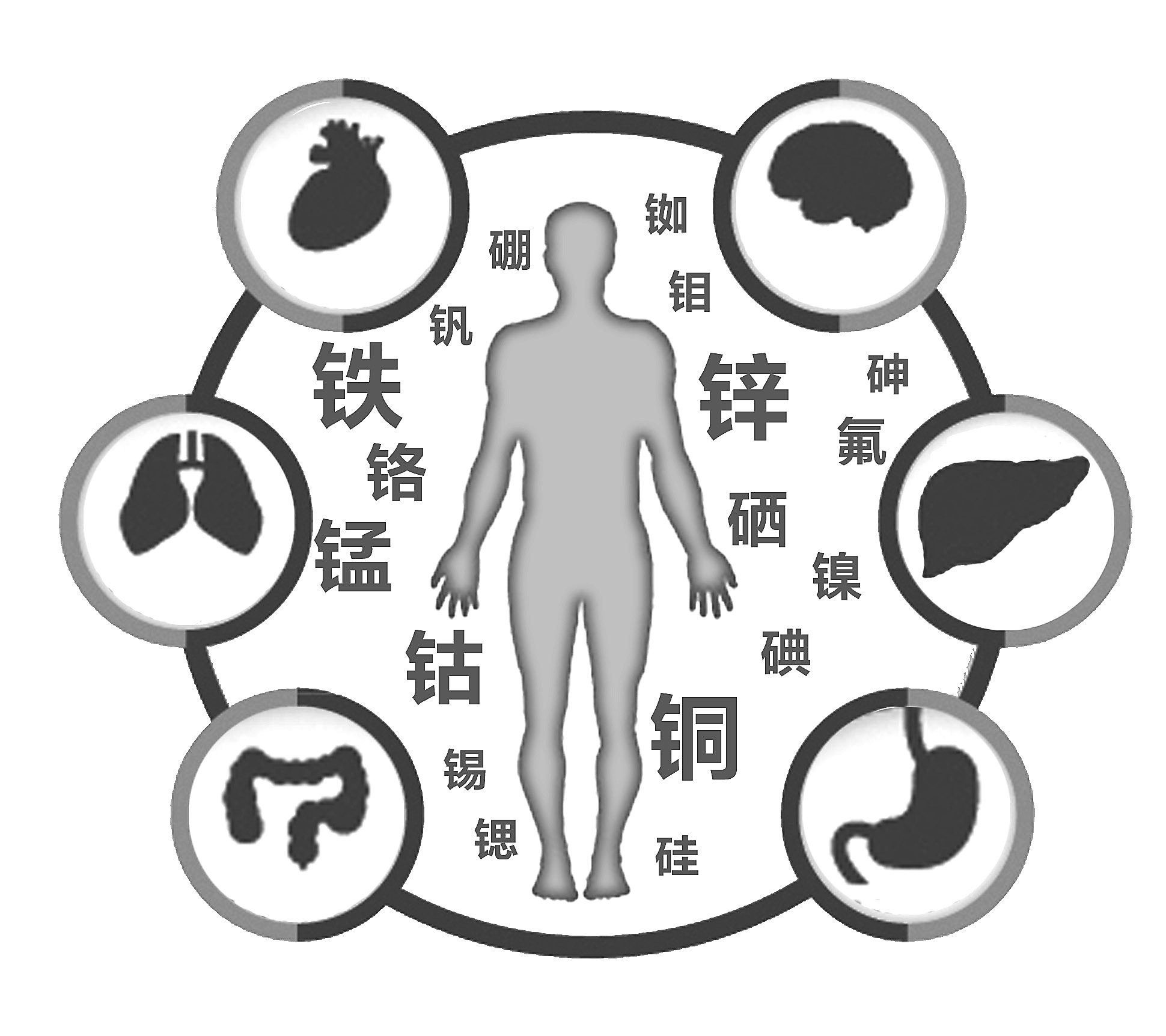 91视频下载污檢查有必要嗎 91视频下载污檢查有必要嗎