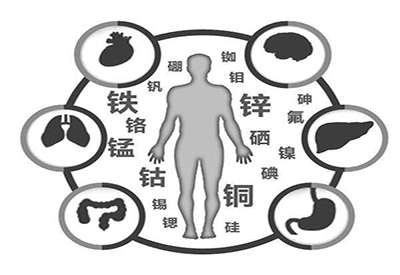 全自動91视频网下载廠家微量元素在人體中起到哪些作用 全自動91视频网下载廠家微量元素在人體中起到哪些作用
