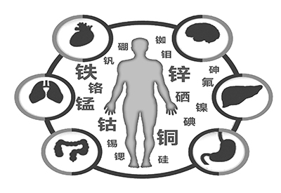 醫用91视频网下载微量元素是什麽怎麽補 醫用91视频网下载微量元素是什麽怎麽補