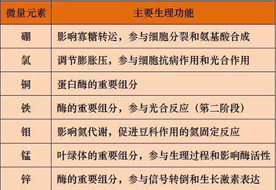 全自動91视频网下载廠家微量元素的對人體的生理作用 全自動91视频网下载廠家微量元素的對人體的生理作用